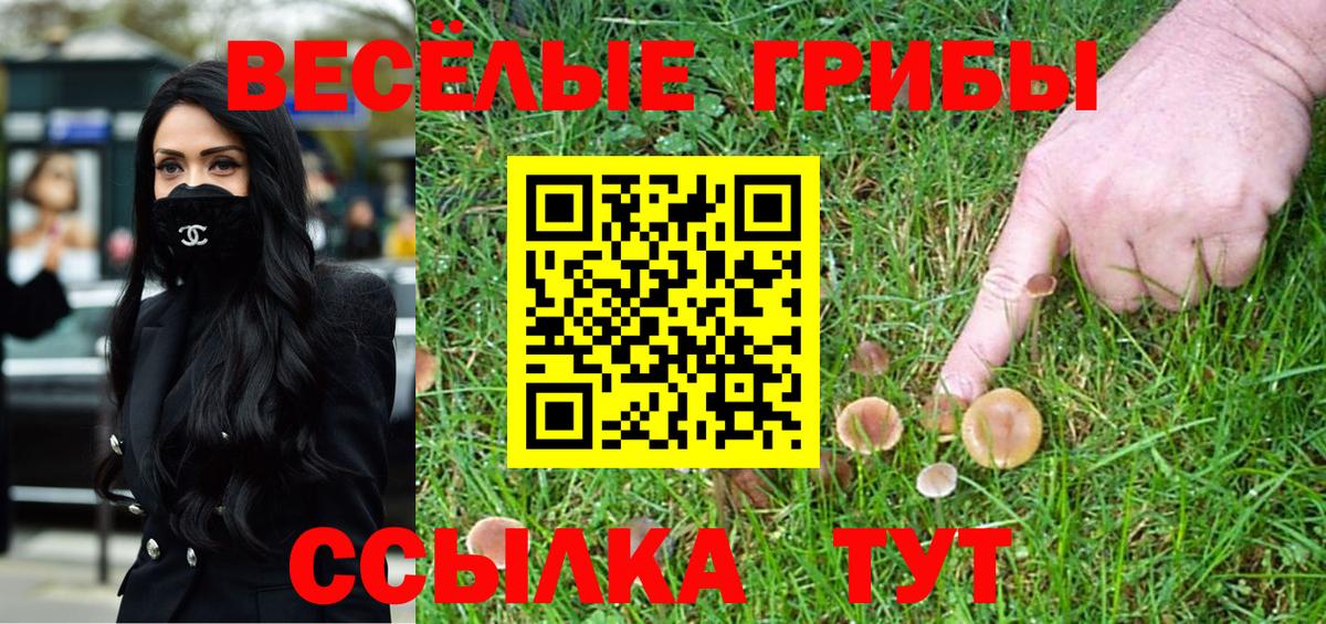 Галлюциногенные грибы мицелий  Вход с VPN  Алатырь 