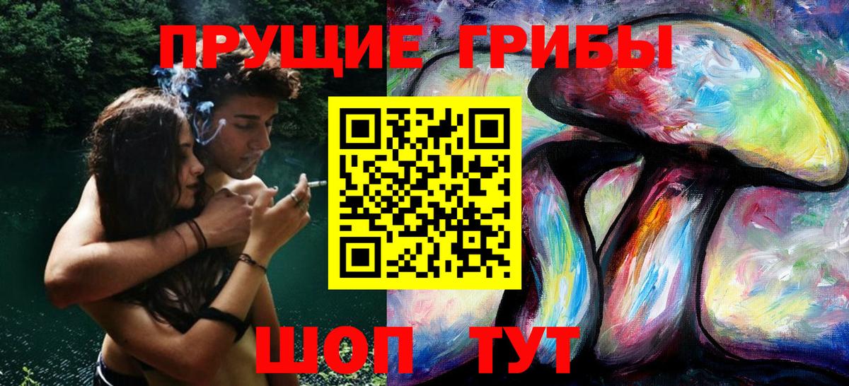 Галлюциногенные грибы MAGIC MUSHROOMS Алатырь